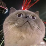 我爱钱钱爱我
