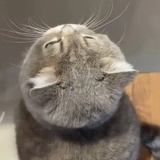 苏打水