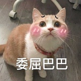 谁正在意外死亡