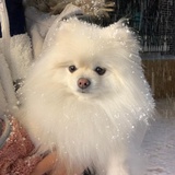 没什么