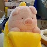逆向发疯瞒不住