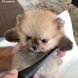 首艺具俊表😘
