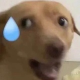 干一行恨一行