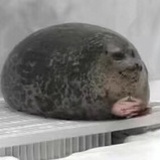 成长快乐