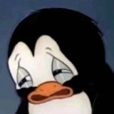 不要看我