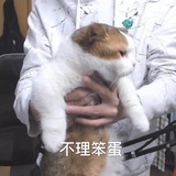 看他别看我