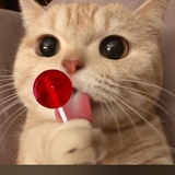 hey guys
