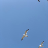 努力努力再努力