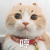 人间忽晚