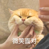 是只咸鱼ya