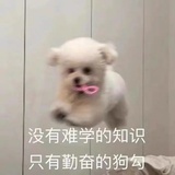 今天学习了没