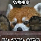 不想早起