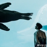 秋锦