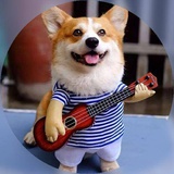 🐕