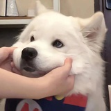 嗑药家