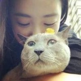 小南瓜