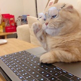 汀凝
