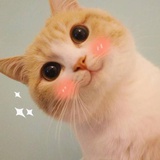 月橘喵
