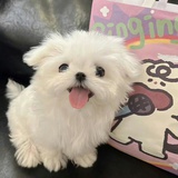 知不知