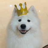 哒珂翎