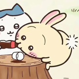 塔塔香鸡腿