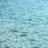 Diving
