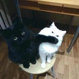 江北