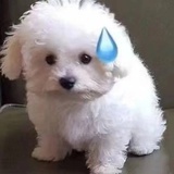 已 注销