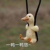 小小余呀
