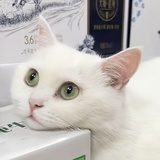 小馍女