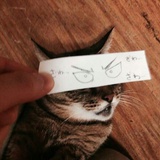 爵