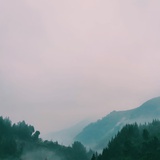 城隍庙进击手