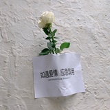 。白煮蛋了吗