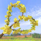 就现在