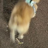 你的手机掉了