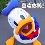 一年读一千本书
