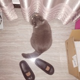 点点