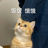 红枫归尘