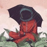 赫晓树