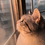 四岁谈恋爱