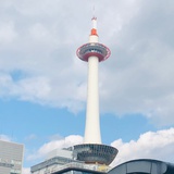 菲林迷
