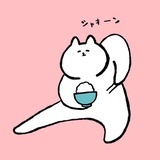 洛洛
