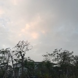 桃胶炖红枣