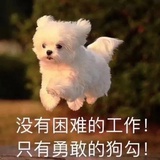 仙鹤草