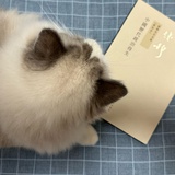 苏格拉有底