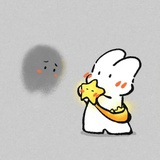STIRONmono