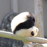 不喝咖啡🤪