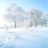 十二月漫天大雪