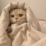 Lumos