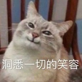 mo果子mo
